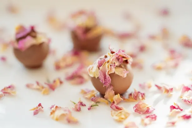 Pelican Casino Android/iOS rakendus